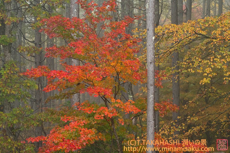 ../Images/7R251026 (114).jpg